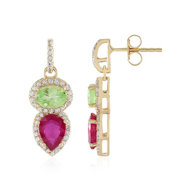 Orecchini in oro con Rubino Bemainty (Adela Gold)