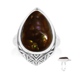 Zilveren ring met een vuur agaat