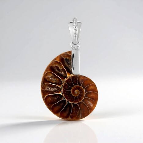 Ciondolo in argento con Ammonite