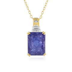 Tanzanite Silver Necklace (Gems en Vogue)