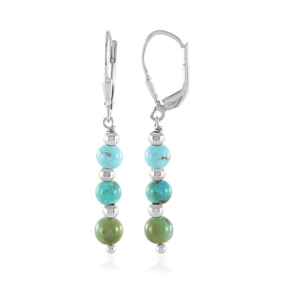 Pendientes en plata con Turquesa