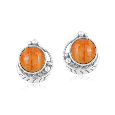 Pendientes en plata con Ostra espinosa naranja (Desert Chic)