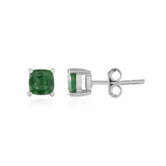 Green apatite Silver Earrings