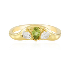Zilveren ring met een vesuvianiet