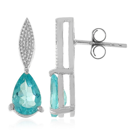 Orecchini in argento con Apatite Blu