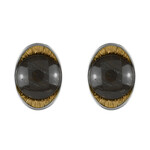 Orecchini in argento con Legno Fossile (dagen)