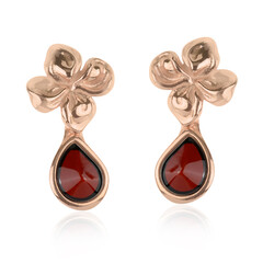 Orecchini in argento con Ambra Baltica