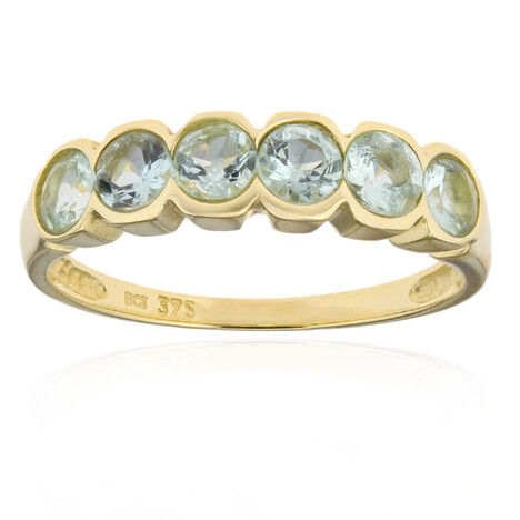 Paraiba-Turmalin-Goldring (CUSTODANA)