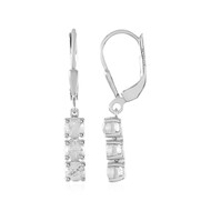 Orecchini in argento con Zircone