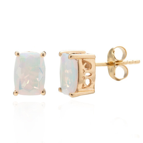 Welo-Opal-Goldohrringe