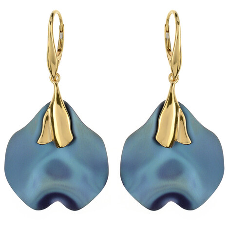 Titanohrringe (dagen)