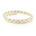 Stalen armband met Gouden Hematieten (Riya)