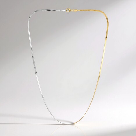 Collana in argento