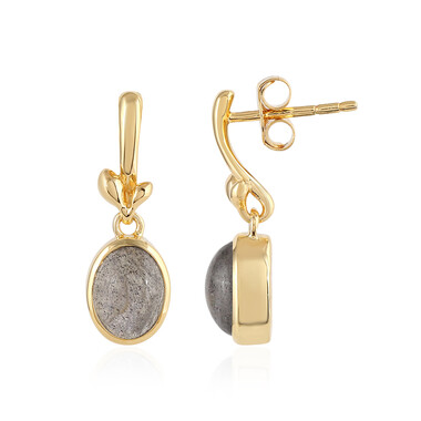 Orecchini in argento con Labradorite