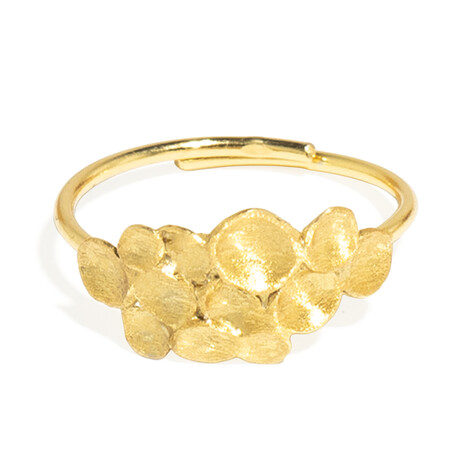 Anillo en plata