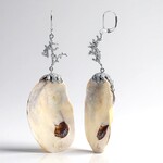 Boucles d'oreilles en argent et Coquillage (TPC)