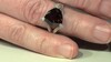 Zilveren ring met een rookkwarts