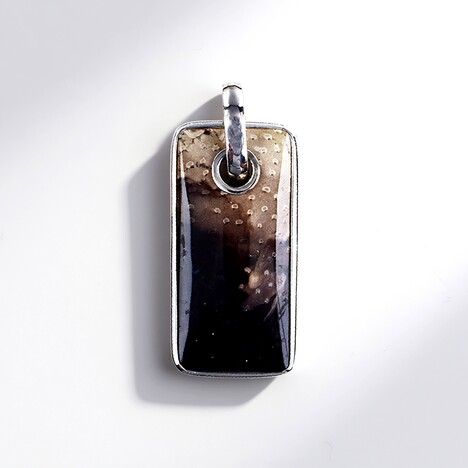 Pendentif en argent et Bois de palmier fossilisé