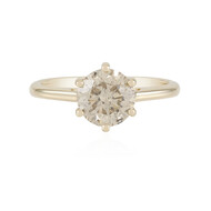 I2 Schokoladen-Brillant-Goldring (SUHANA)