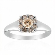 VS1 Argyle-Rose de France-Brillant-Goldring (Annette)