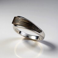 Black Oak Silver Ring (dagen)