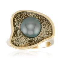 Tahitiperlen-Silberring (TPC)