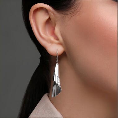 Orecchini in argento con Zircone (TPC)