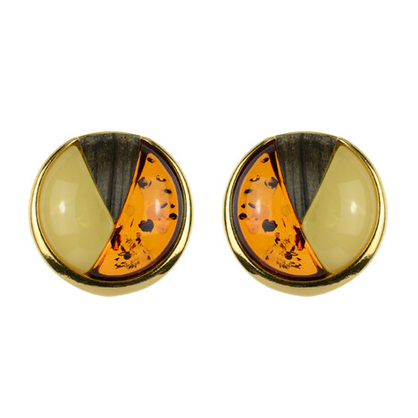 Baltischer Bernstein-Silberohrringe mit Mooreiche (dagen)