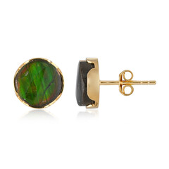 Ammolith-Silberohrringe