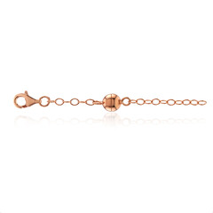 Catenina in argento