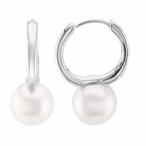 Akoya-Perlen-Goldohrringe (TPC)