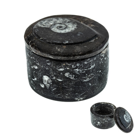 Orthoceras-Schatulle