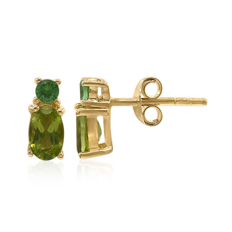 Zilveren oorbellen met Birmese Peridoots