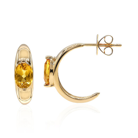 Goldener Beryll-Goldohrringe
