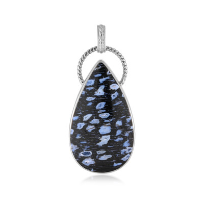 Ciondolo in argento con Legno di Palma pietrificato Jambi (Bali Barong)