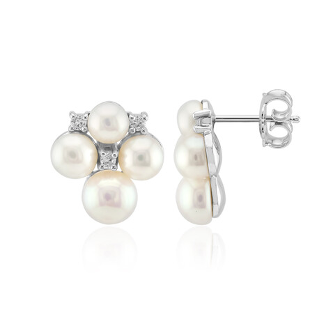 Weiße Süßwasserzuchtperlen-Silberohrringe (TPC)