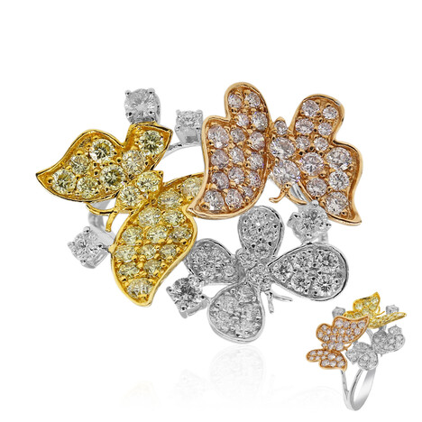 Brillant-Goldring (CIRARI)