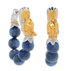 Kyanite Silver Earrings (Gems en Vogue)