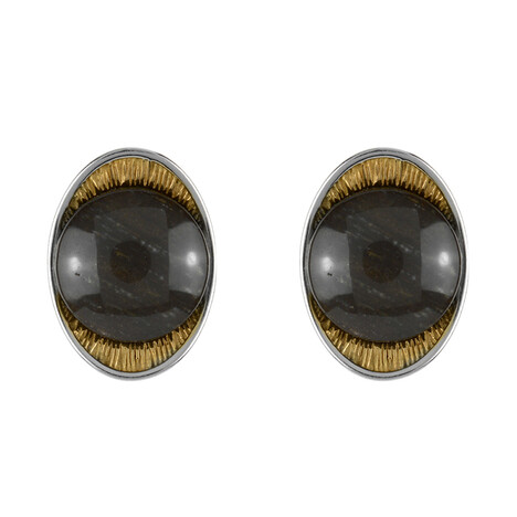 Orecchini in argento con Legno Fossile (dagen)