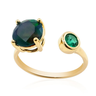 Edelstein-Goldring (de Melo)