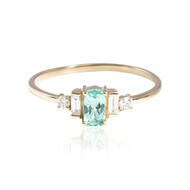 Paraiba-Turmalin-Goldring (AMAYANI)