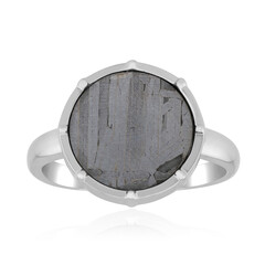 Anillo en plata con Meteorito Aletai