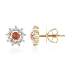 Boucles d'oreilles en or et Pezzottaïte