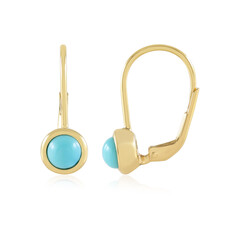 Zilveren oorbellen met Sleeping Beauty Turkooisen