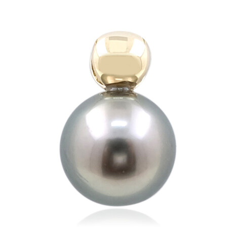 Tahitiperlen-Goldanhänger (de Melo)