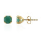 Boucles d'oreilles en argent et Emeraude du Brésil