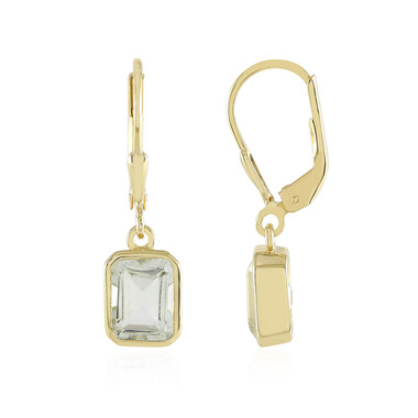Orecchini in argento con Ametista Verde