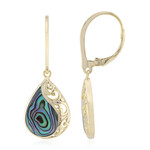 Abalone Shell Silver Earrings