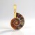 Ciondolo in argento con Ammonite