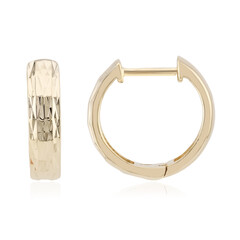 Boucles d'oreilles en argent